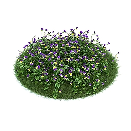 綠色草坪植物