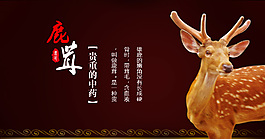 鹿茸片養(yǎng)生滋補(bǔ)類海報(bào)