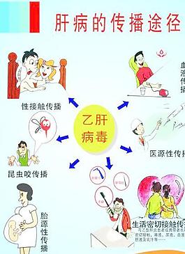 肝病的傳播