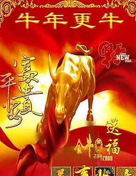 2009牛年更牛春節(jié)psd分層素材