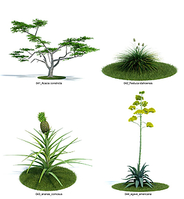 水果樹(shù)模型