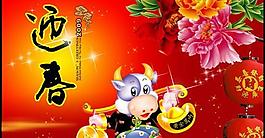 2009春节福牛迎春psd分层素材