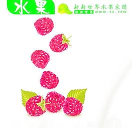 水果宣傳圖片