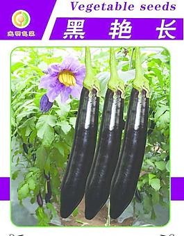 蔬菜包裝圖片