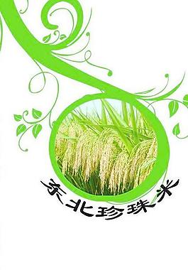 大米包裝圖片