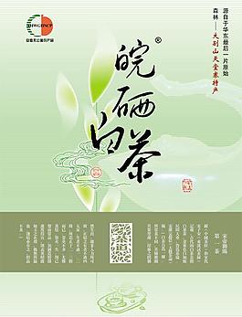 皖西白茶PSD素材