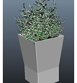 3d植物模型