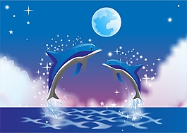 海豚
