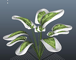 3d綠色植物模型