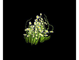 3d野花植物模型