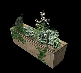 3d植物模型模板下載