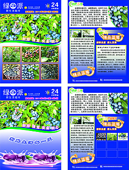 藍(lán)莓單頁(yè)