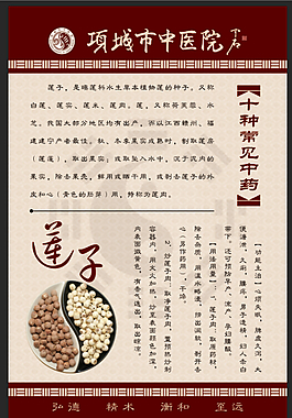 十种常见中药之莲子