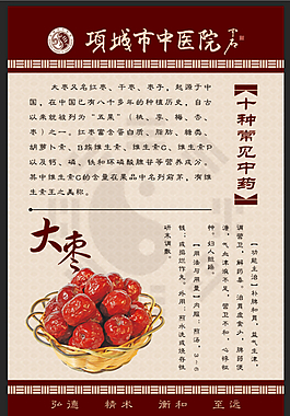 十种常见中药之大枣