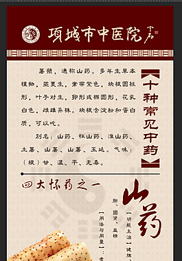 十种常见中药之山药