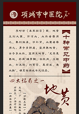 十种常见中药之地黄