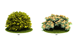 園林植物