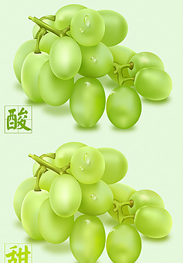 葡萄
