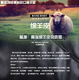 澳洲綿羊皮介紹真皮質(zhì)感皮衣詳情頁素材