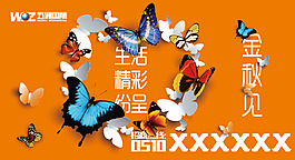 蝴蝶圓環(huán)金秋見