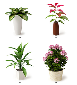 盆栽植物