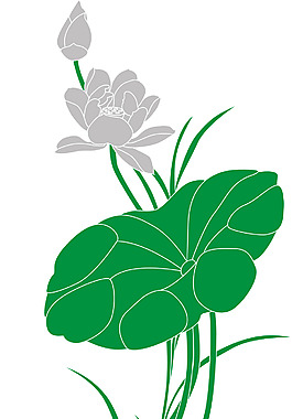 荷花