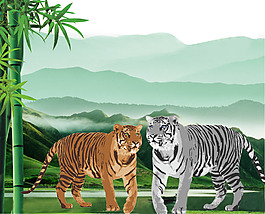 老虎和山圖片
