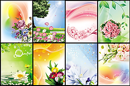 花朵背景