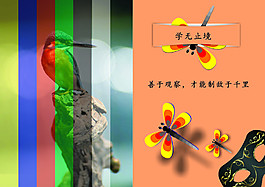 學習勵志畫冊