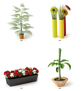 小植物模型