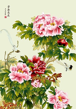 牡丹 牡丹花