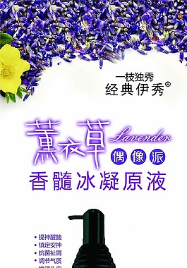 薰衣草展架