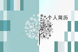 個(gè)人簡(jiǎn)歷