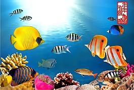 海底世界