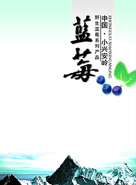 宣傳單