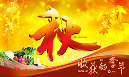 收貨的季節(jié)