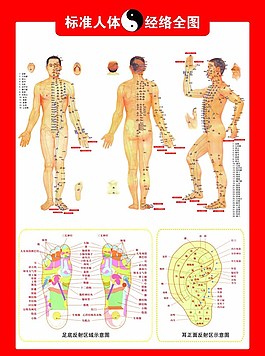 人體標準經絡全圖圖片