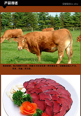 清真牛肉干描述