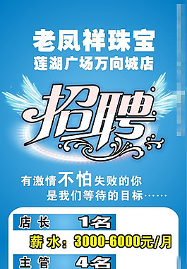 公司招聘