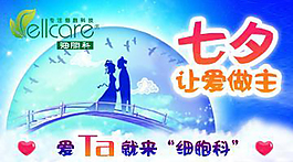 七夕細(xì)胞體檢設(shè)計(jì)
