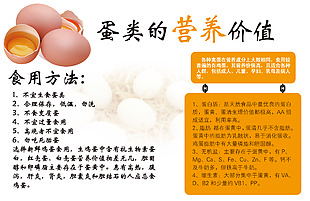 蛋類的營養(yǎng)價(jià)值包裝設(shè)計(jì)