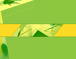 教育界簡(jiǎn)報(bào)