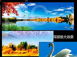 自然風景裝飾畫