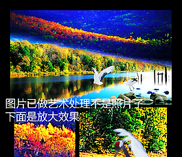 仙鶴山水畫