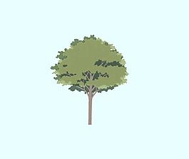 平面樹
