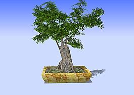 盆景3D模型
