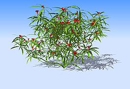 花草3D模型