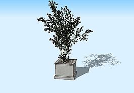 盆景3D模型