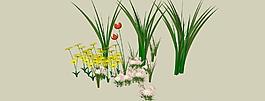 野花