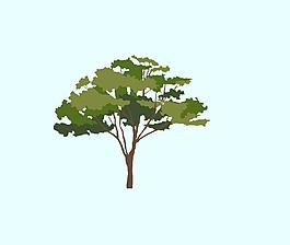 平面樹